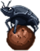 Dung Beetle